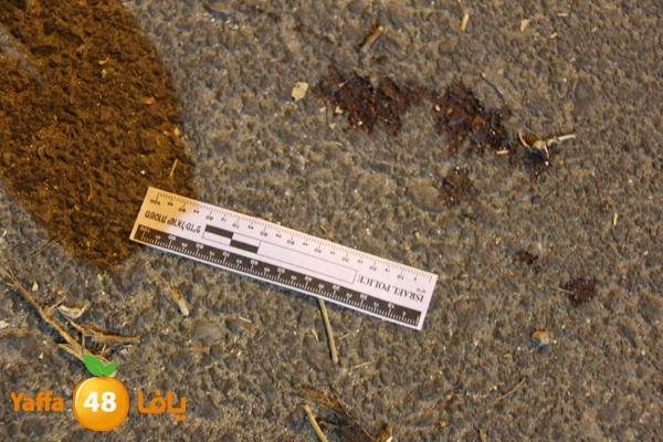 ta3n nwslogyem819 (4).jpg